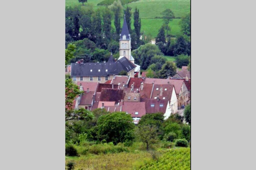 Maison Au Coeur Du Vignoble Jurassien 90 M2 Lavigny Eksteriør billede