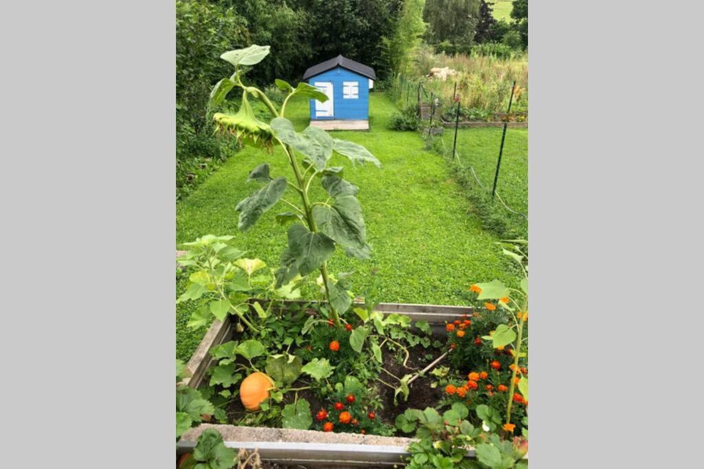 Maison Au Coeur Du Vignoble Jurassien 90 M2 Lavigny Eksteriør billede