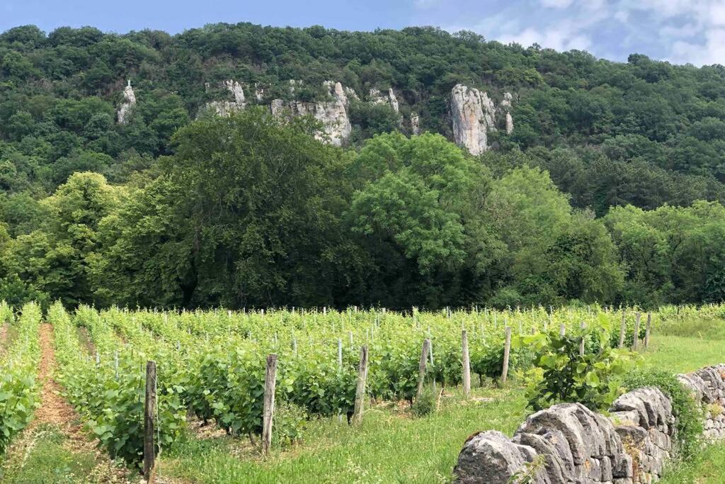 Maison Au Coeur Du Vignoble Jurassien 90 M2 Lavigny Eksteriør billede